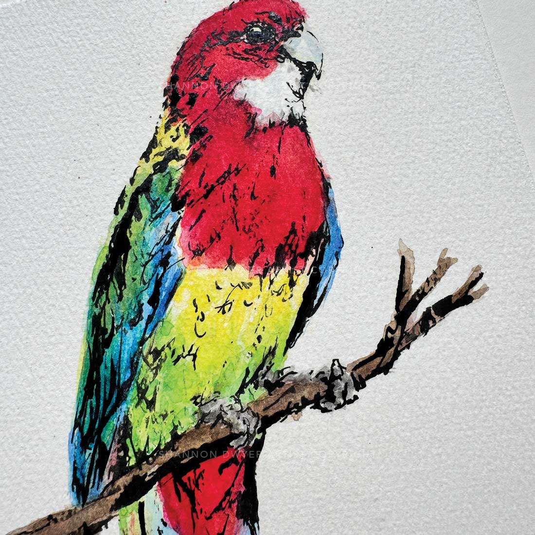SOLD - 'ROWAN', the Rosella - original artwork
