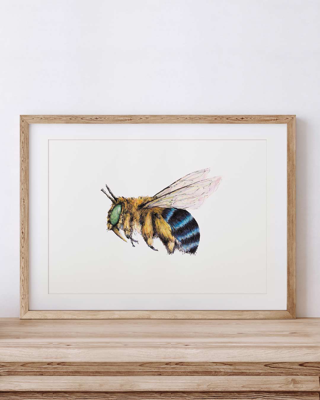 BANDIT Blue-banded Bee, Fine Art Print