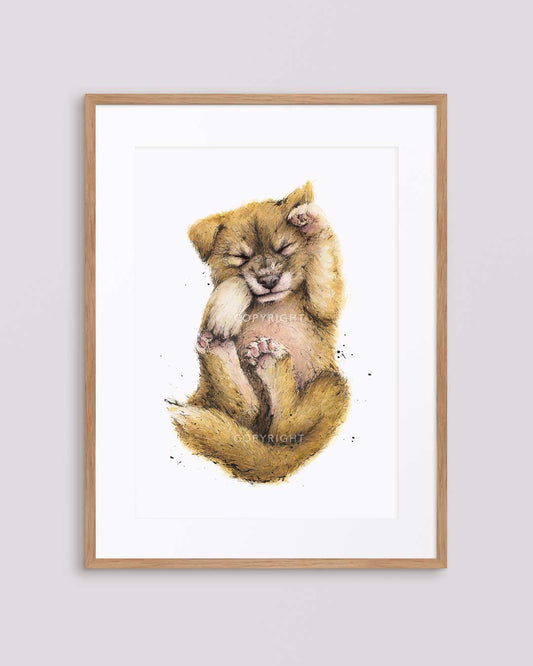 'DAYDREAMER' Dingo Fine Art Print