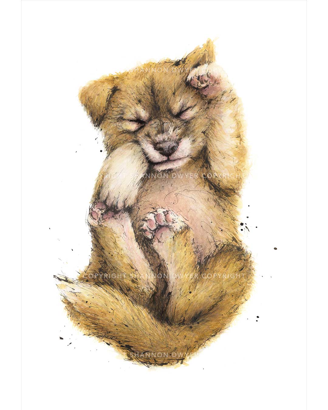 'DAYDREAMER' Dingo Fine Art Print