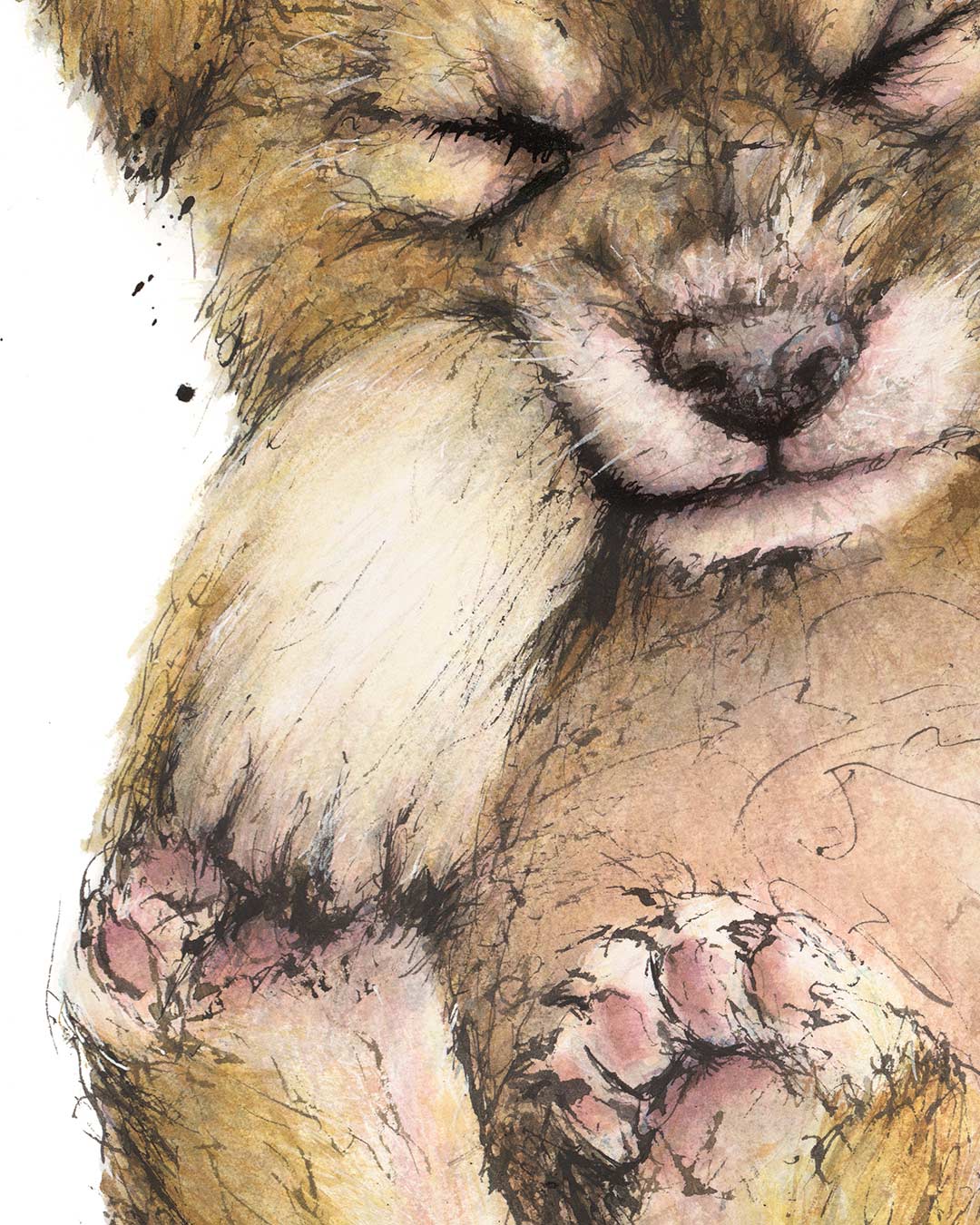 'DAYDREAMER' Dingo Fine Art Print