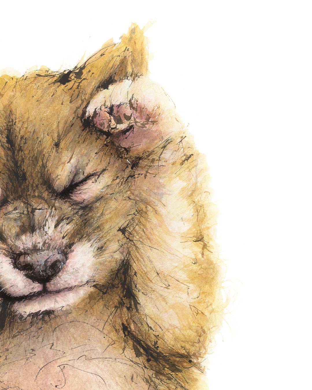 'DAYDREAMER' Dingo Fine Art Print