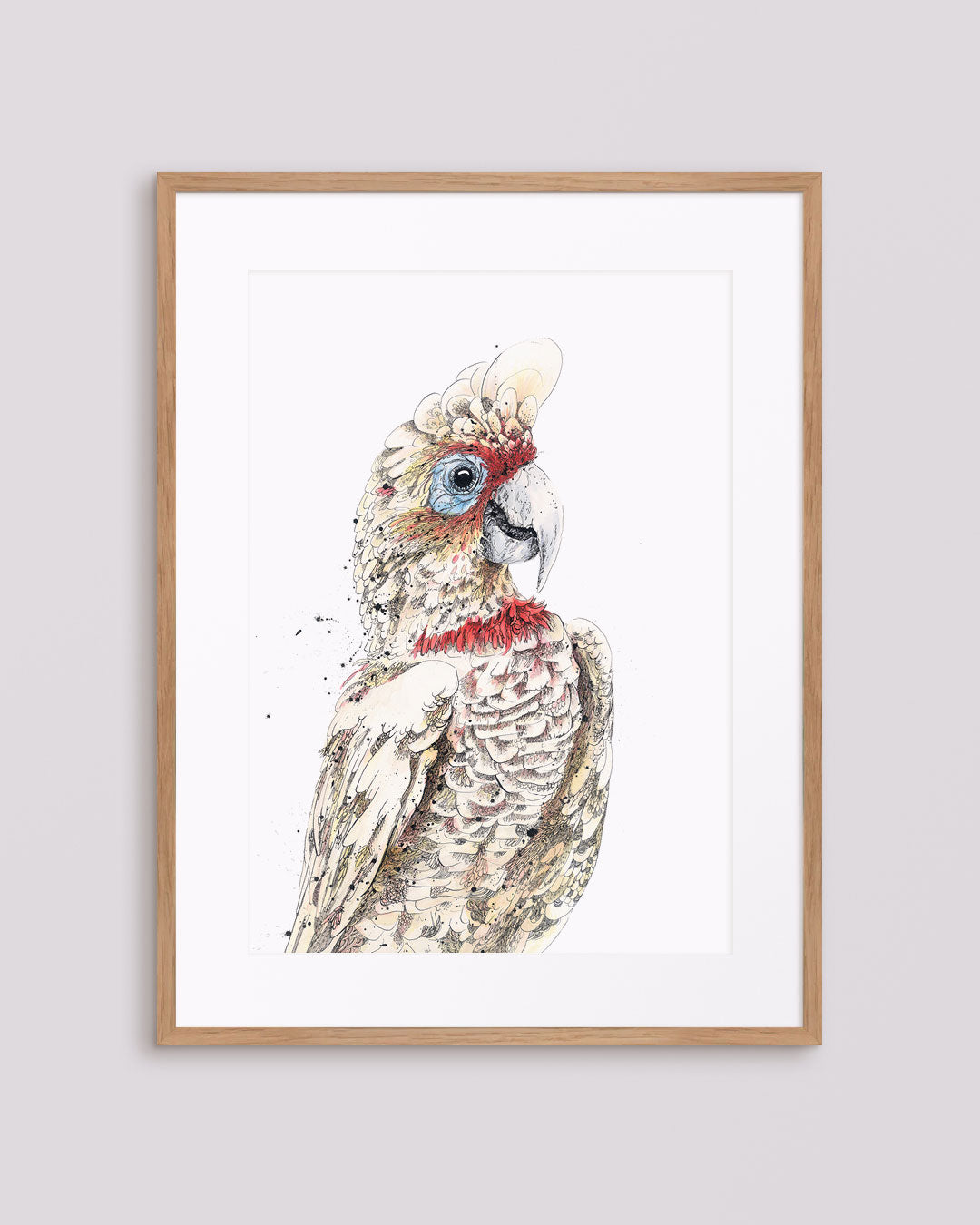 'Bluey', Long-Billed Corella Fine Art Print