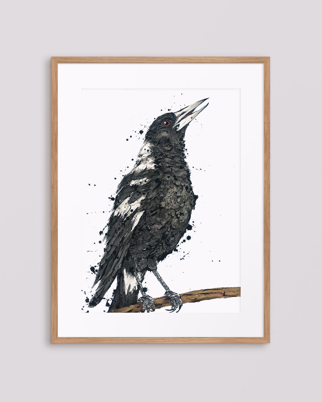 ‘Caroline’ the Magpie