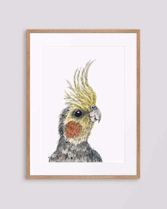 Chirpy the Cockatiel