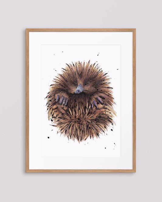 'Prickles' Echidna