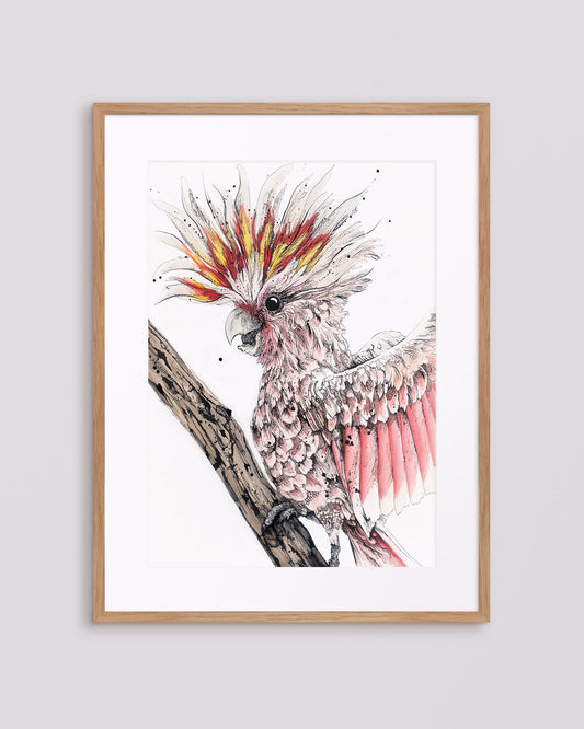'Frankie' Pink Cockatoo