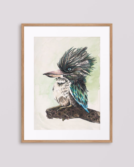 'Kooks' Kookaburra