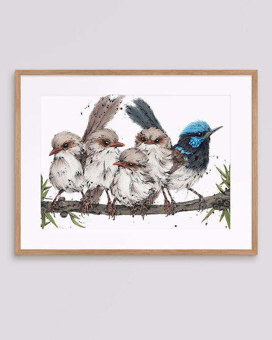 'Superb Love', Superb Fairy-wrens Fine Art Print