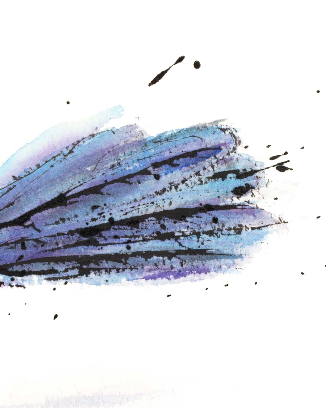 WHIP the Willie Wagtail Fine Art Print
