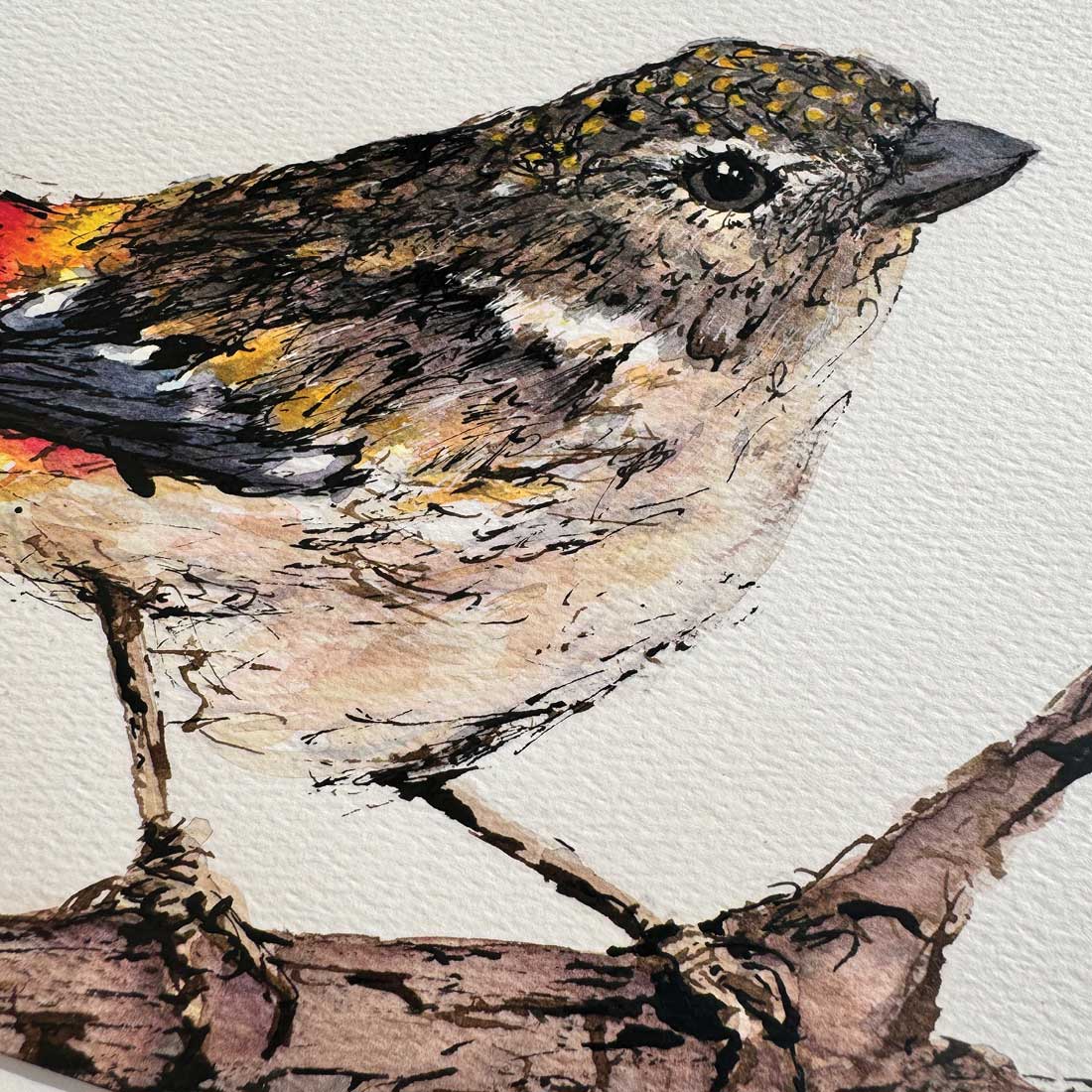 SOLD - 'MRS SPOTS', the Spotted Pardalote