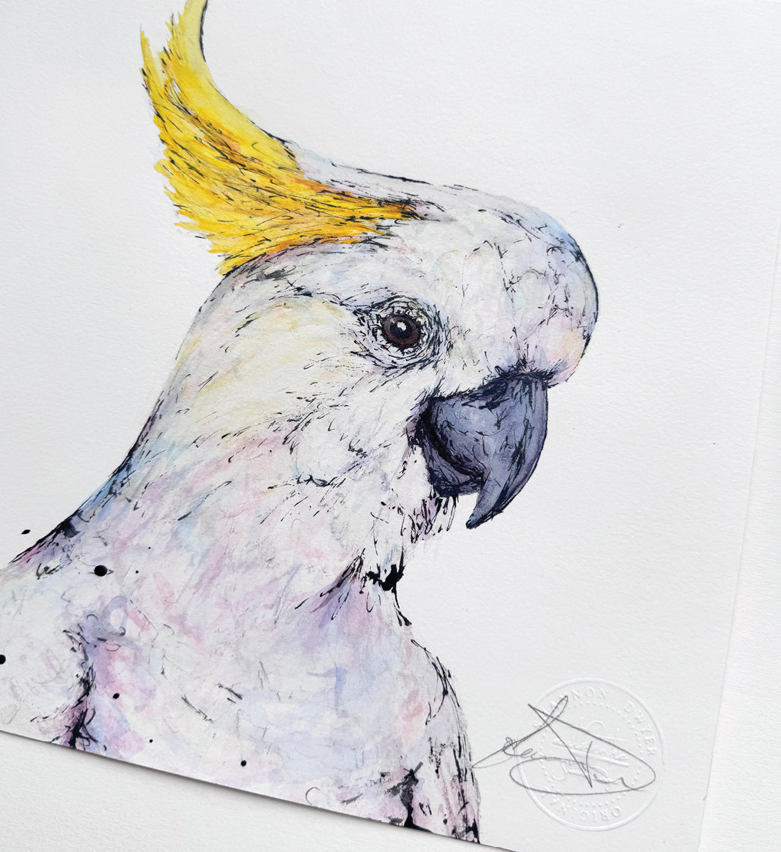 'Sully', the Sulphur-crested Cockatoo
