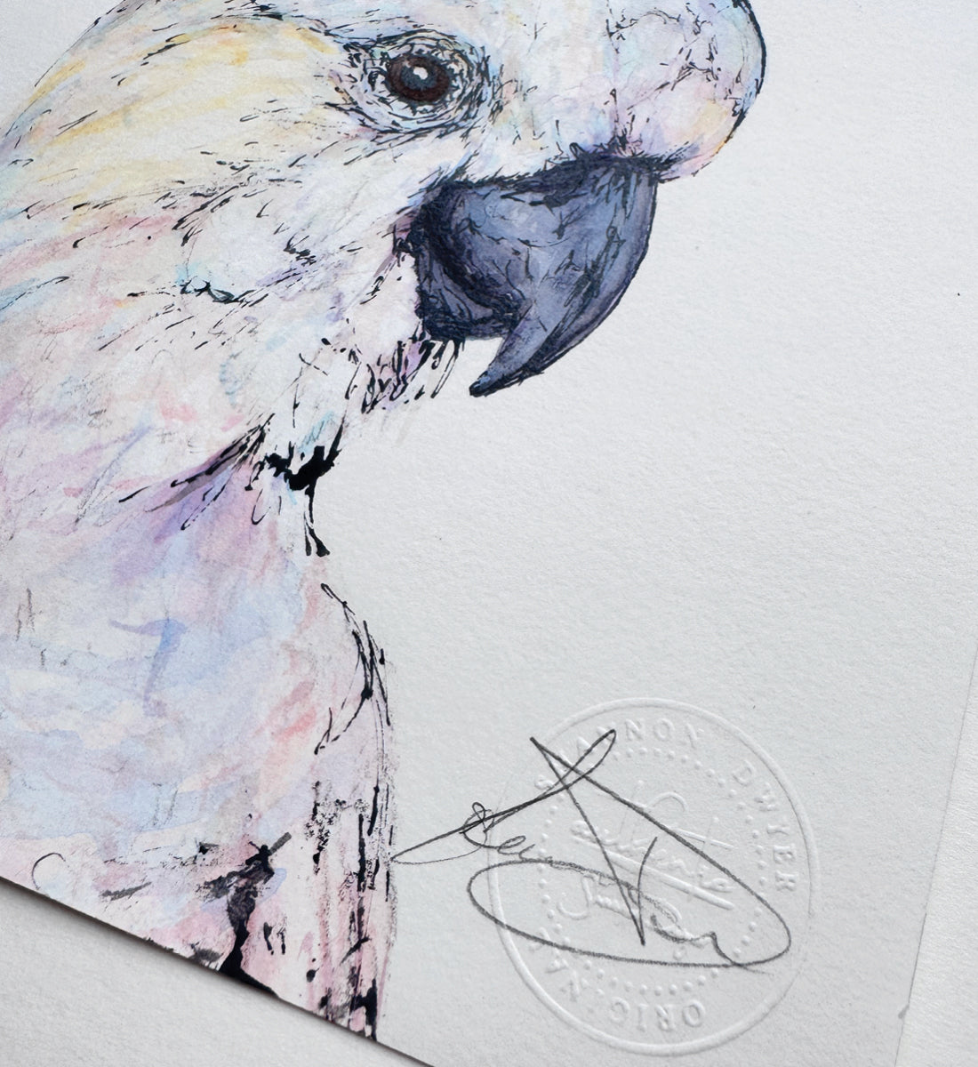 'Sully', the Sulphur-crested Cockatoo