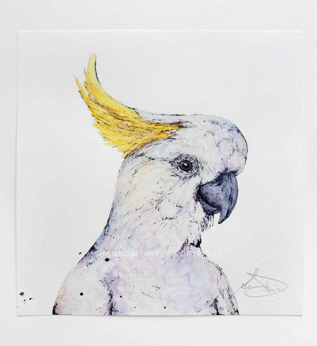 'Sully', the Sulphur-crested Cockatoo