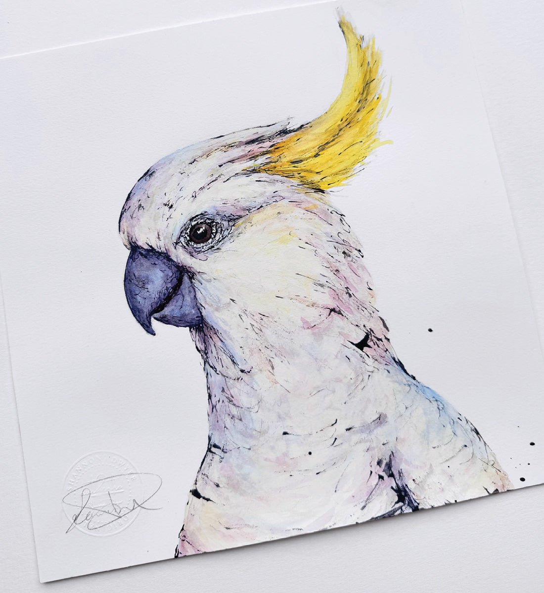 'Sunshine', the Sulphur-crested Cockatoo