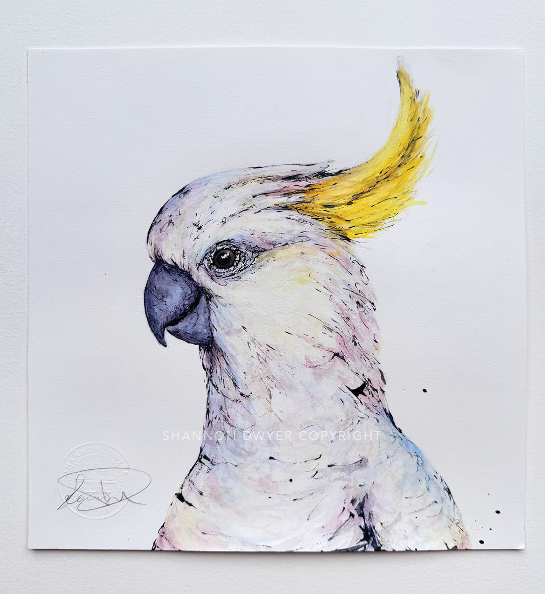 'Sunshine', the Sulphur-crested Cockatoo