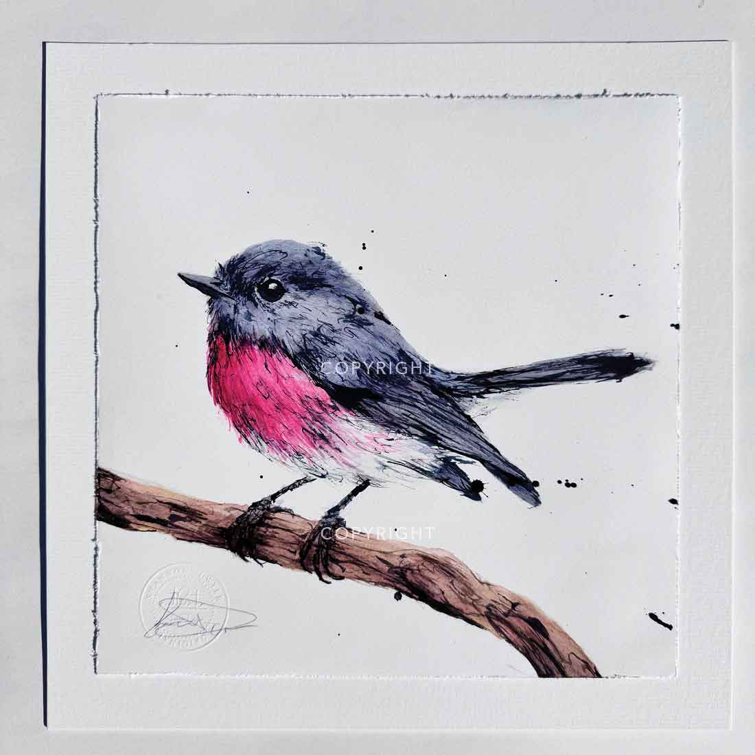 'SITTING PRETTY', the Rose Robin