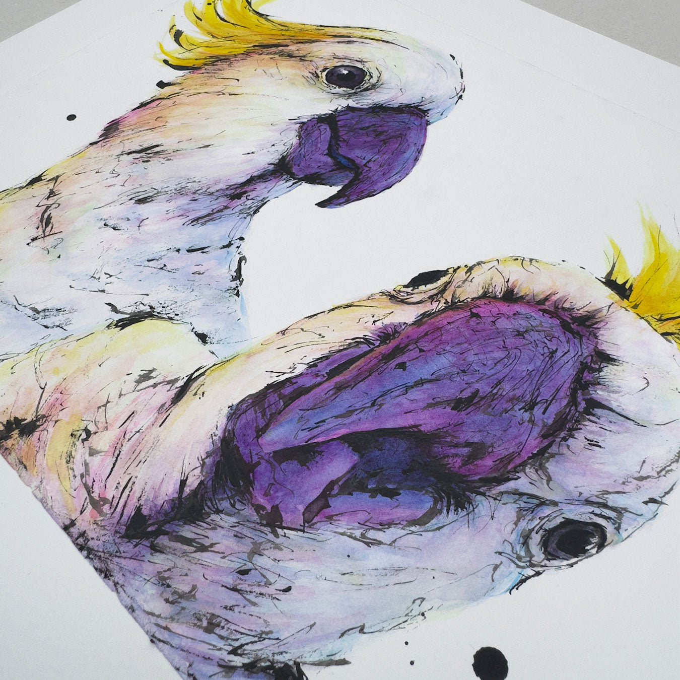 'SELFIE' the Sulphur-crested Cockatoos - original artwork