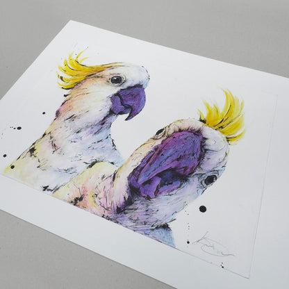 'SELFIE' the Sulphur-crested Cockatoos - original artwork