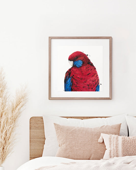 'RUBY' the Crimson Rosella - original artwork