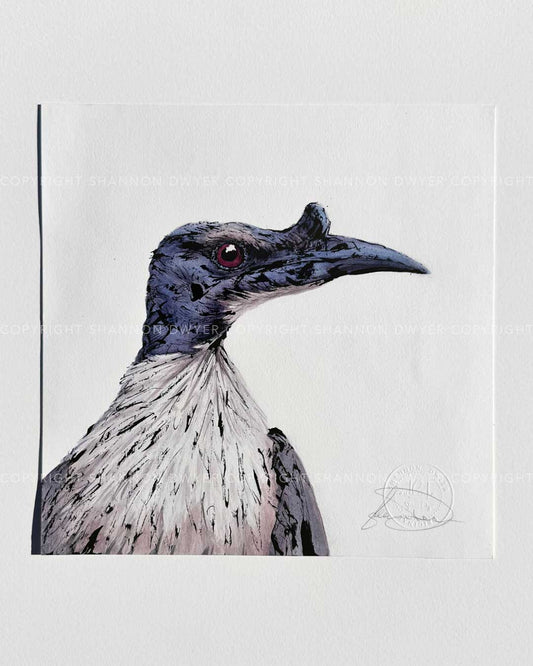 'FRIDA' the Noisy Friarbird - original artwork