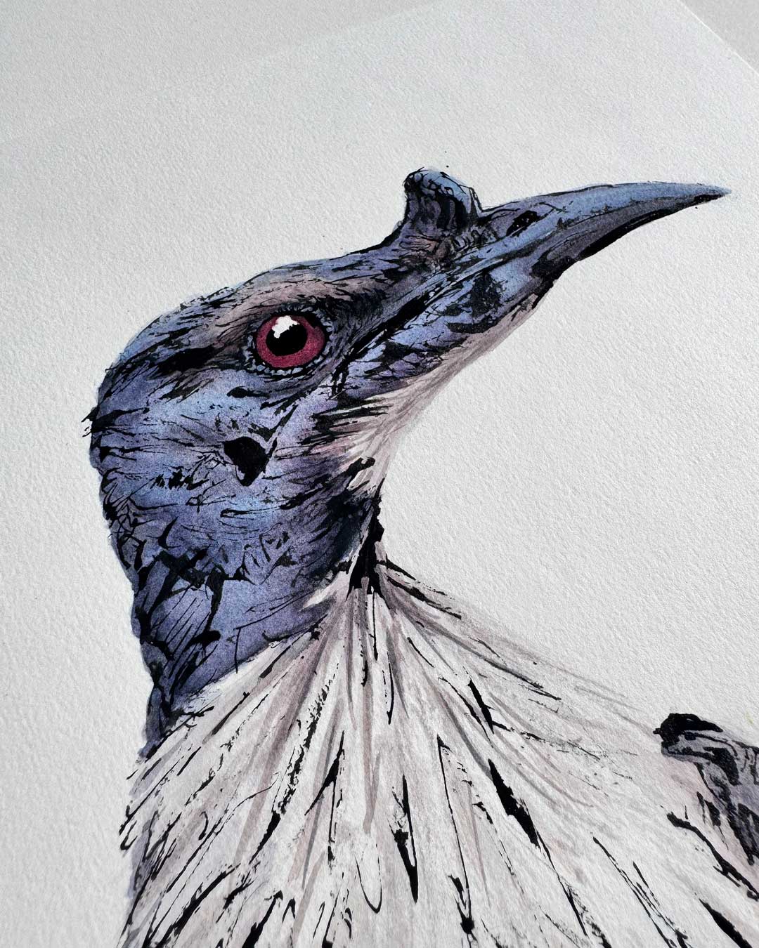 'FRIDA' the Noisy Friarbird - original artwork