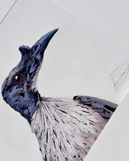 'FRIDA' the Noisy Friarbird - original artwork