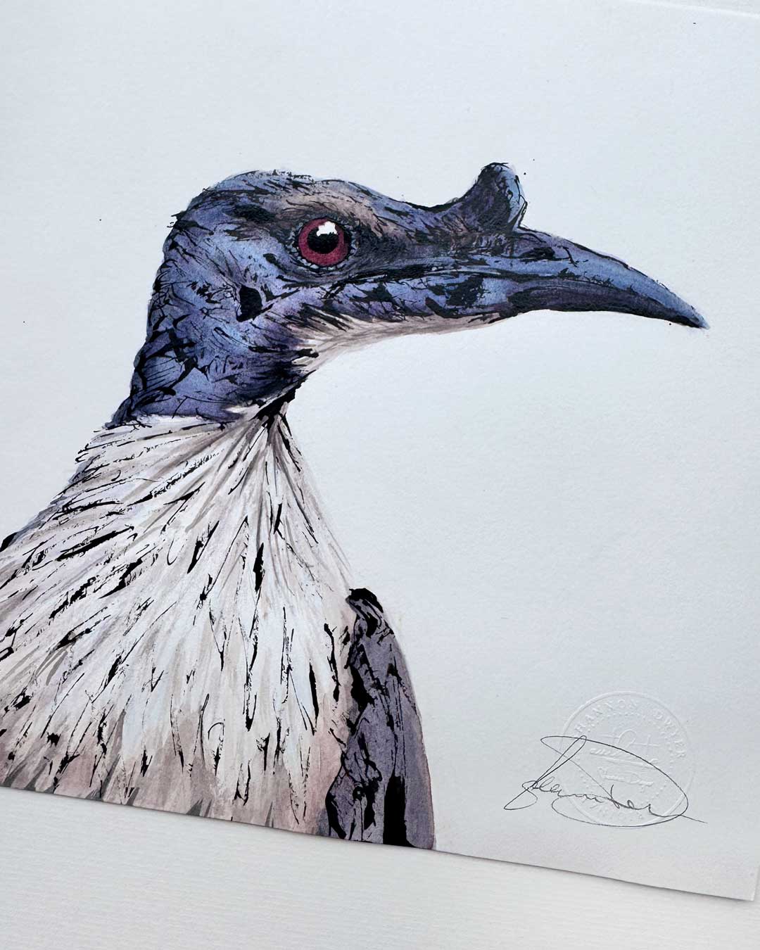 'FRIDA' the Noisy Friarbird - original artwork