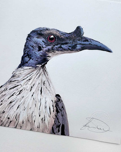'FRIDA' the Noisy Friarbird - original artwork