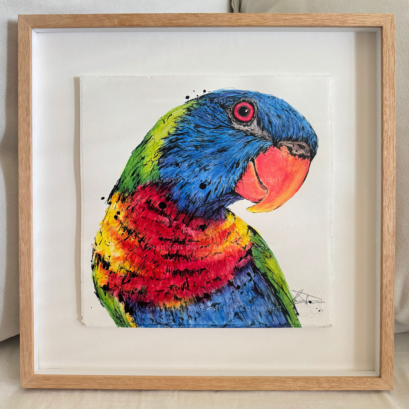 'PRETTY BOY' the Rainbow Lorikeet - Framed* original artwork