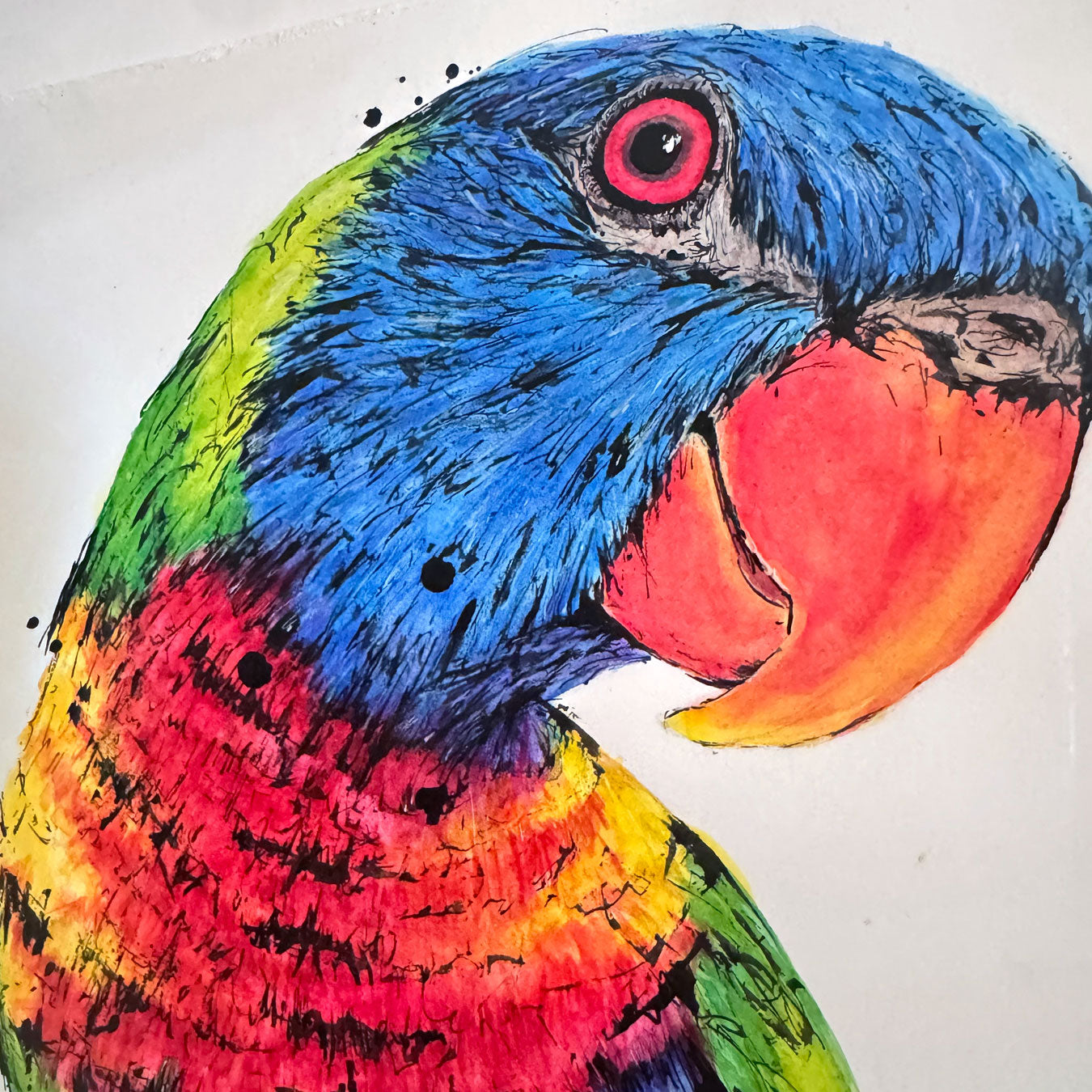 'PRETTY BOY' the Rainbow Lorikeet - Framed* original artwork