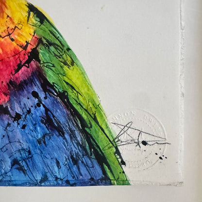 'PRETTY BOY' the Rainbow Lorikeet - Framed* original artwork