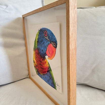 'PRETTY BOY' the Rainbow Lorikeet - Framed* original artwork
