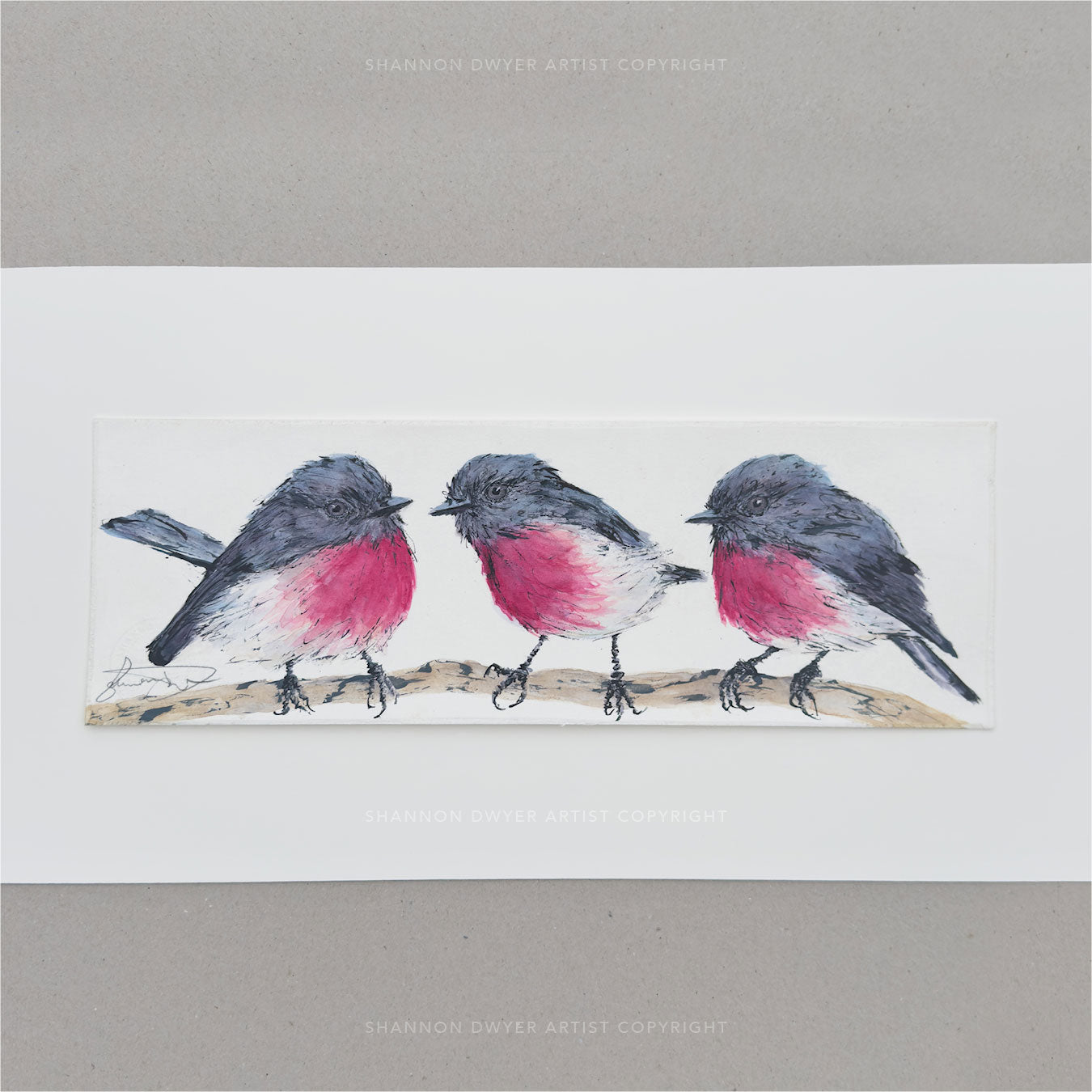 'PRETTY IN PINK' the Rose Robin - original artwork