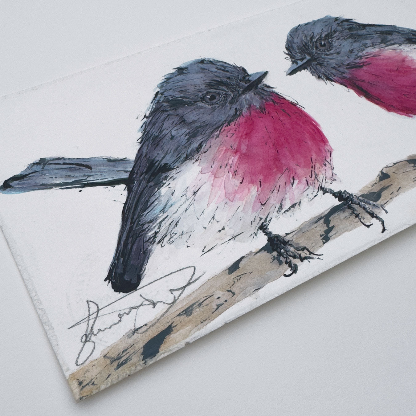 'PRETTY IN PINK' the Rose Robin - original artwork