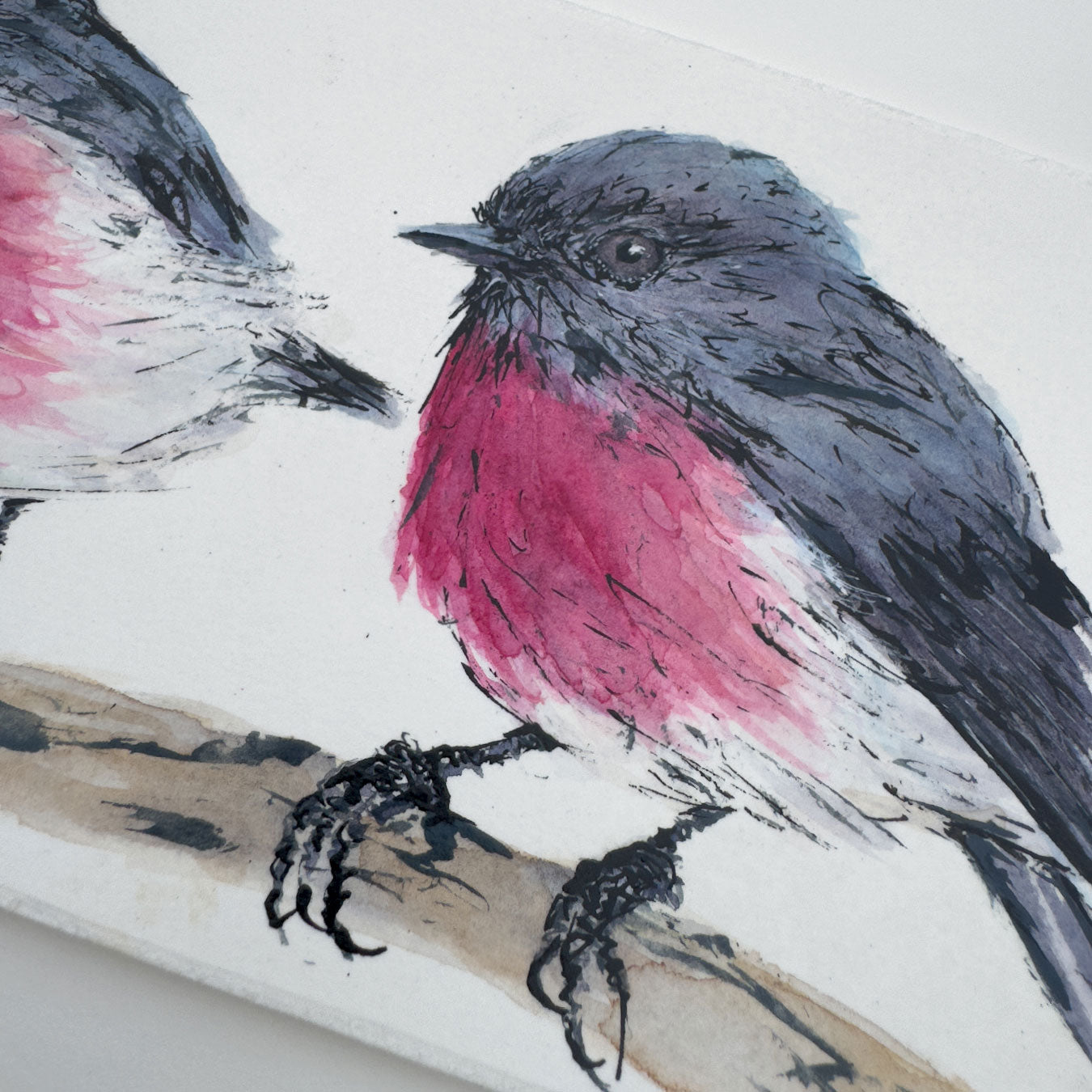 'PRETTY IN PINK' the Rose Robin - original artwork