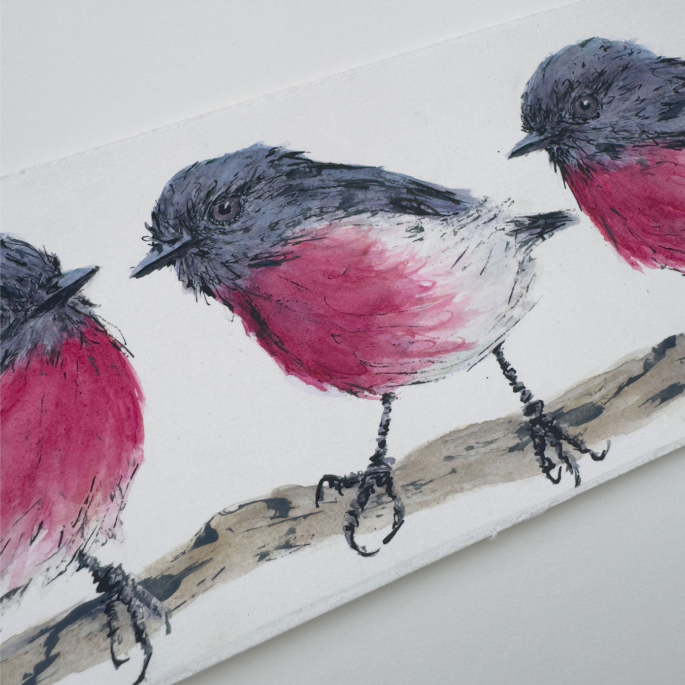 'PRETTY IN PINK' the Rose Robin - original artwork