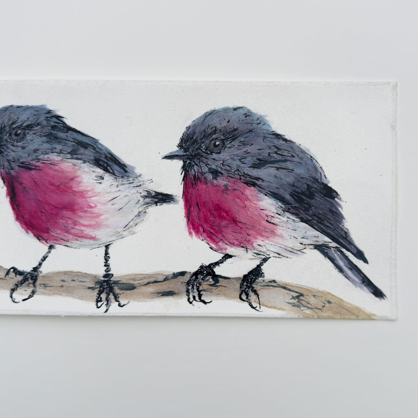 'PRETTY IN PINK' the Rose Robin - original artwork