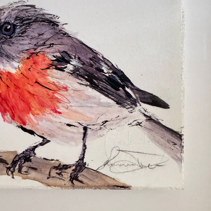 'SCARLET FERVOUR' the Scarlet Robin - Framed* original artwork