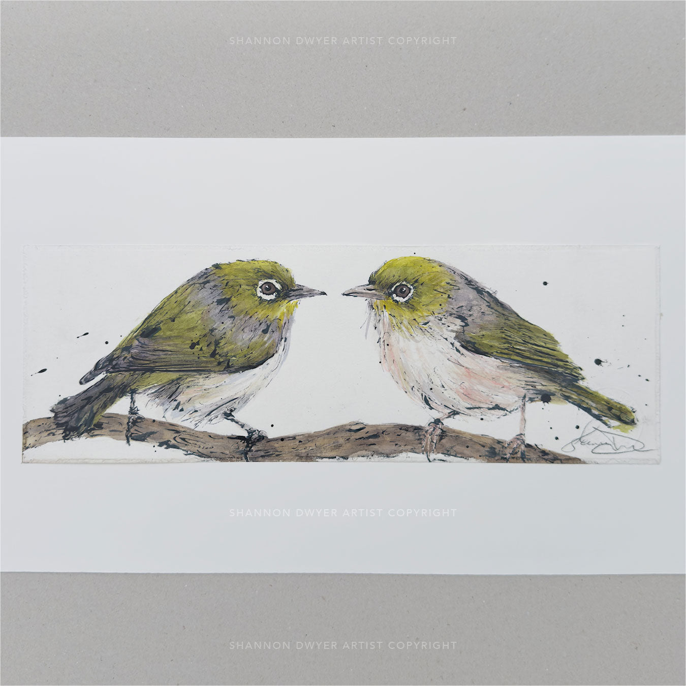'SILVER GRACE' the Silvereye - original artwork