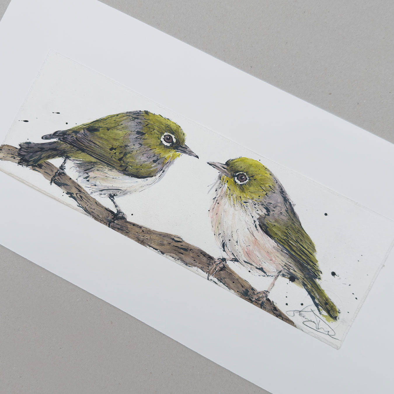 'SILVER GRACE' the Silvereye - original artwork