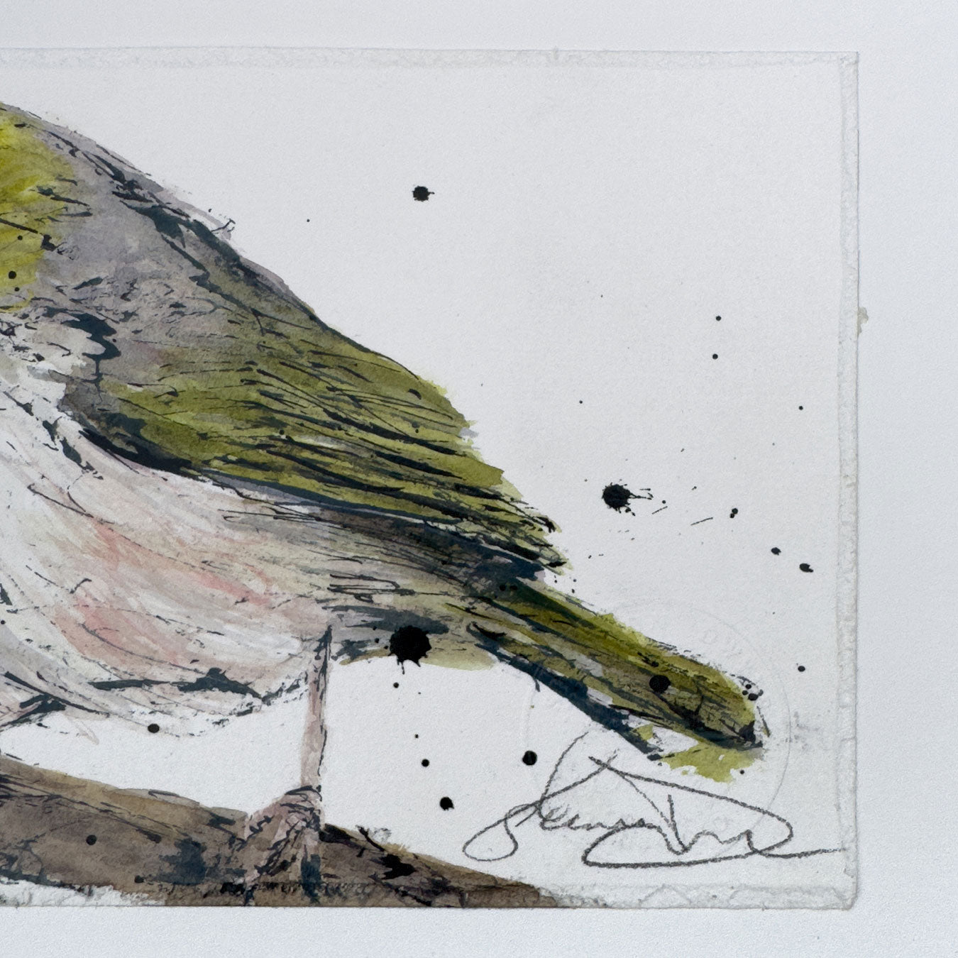 'SILVER GRACE' the Silvereye - original artwork