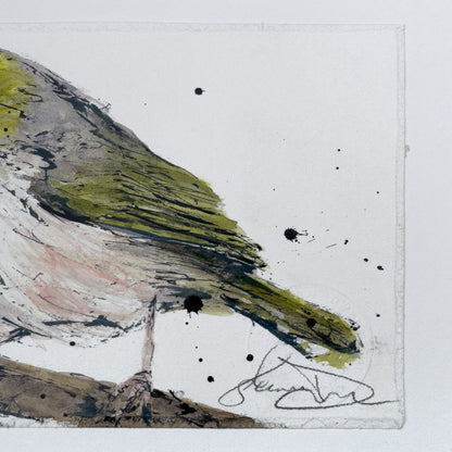 'SILVER GRACE' the Silvereye - original artwork
