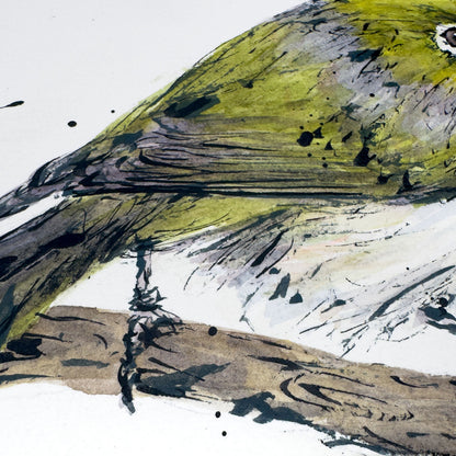 'SILVER GRACE' the Silvereye - original artwork