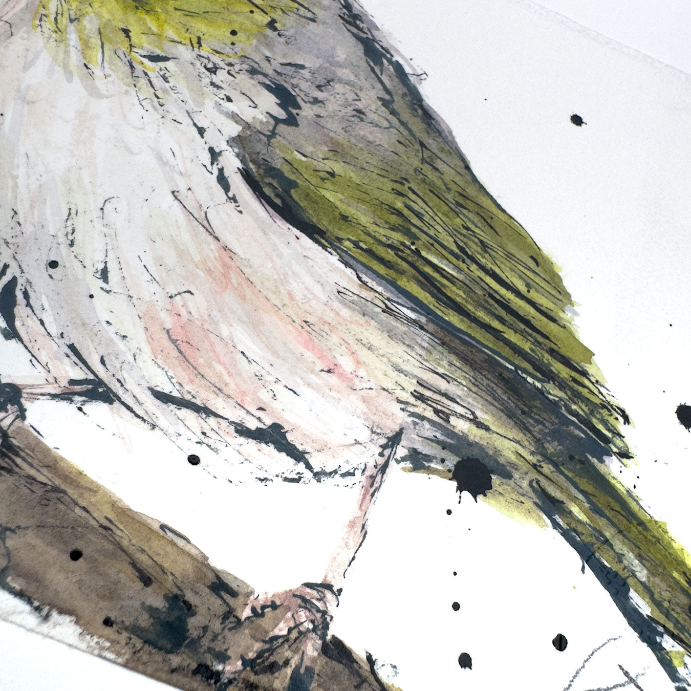 'SILVER GRACE' the Silvereye - original artwork