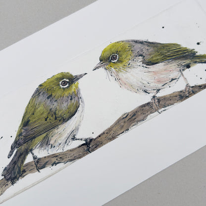 'SILVER GRACE' the Silvereye - original artwork
