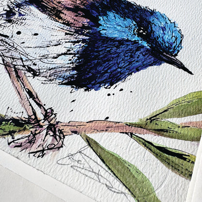 'FLICKER', Superb Fairy-Wren