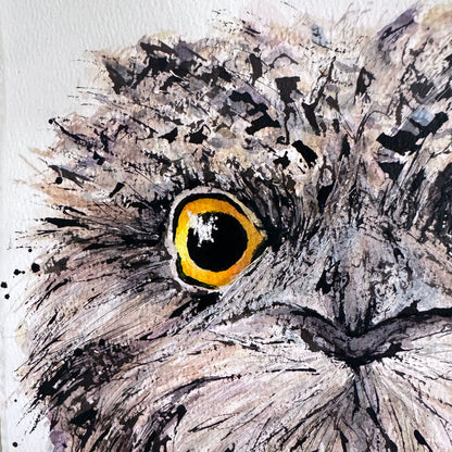 'YES, NO...MAYBE' the Tawny Frogmouth - Framed* original artwork