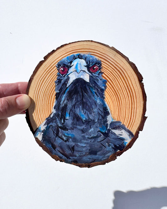 'BOSS' the Australian Magpie Wooden Disc