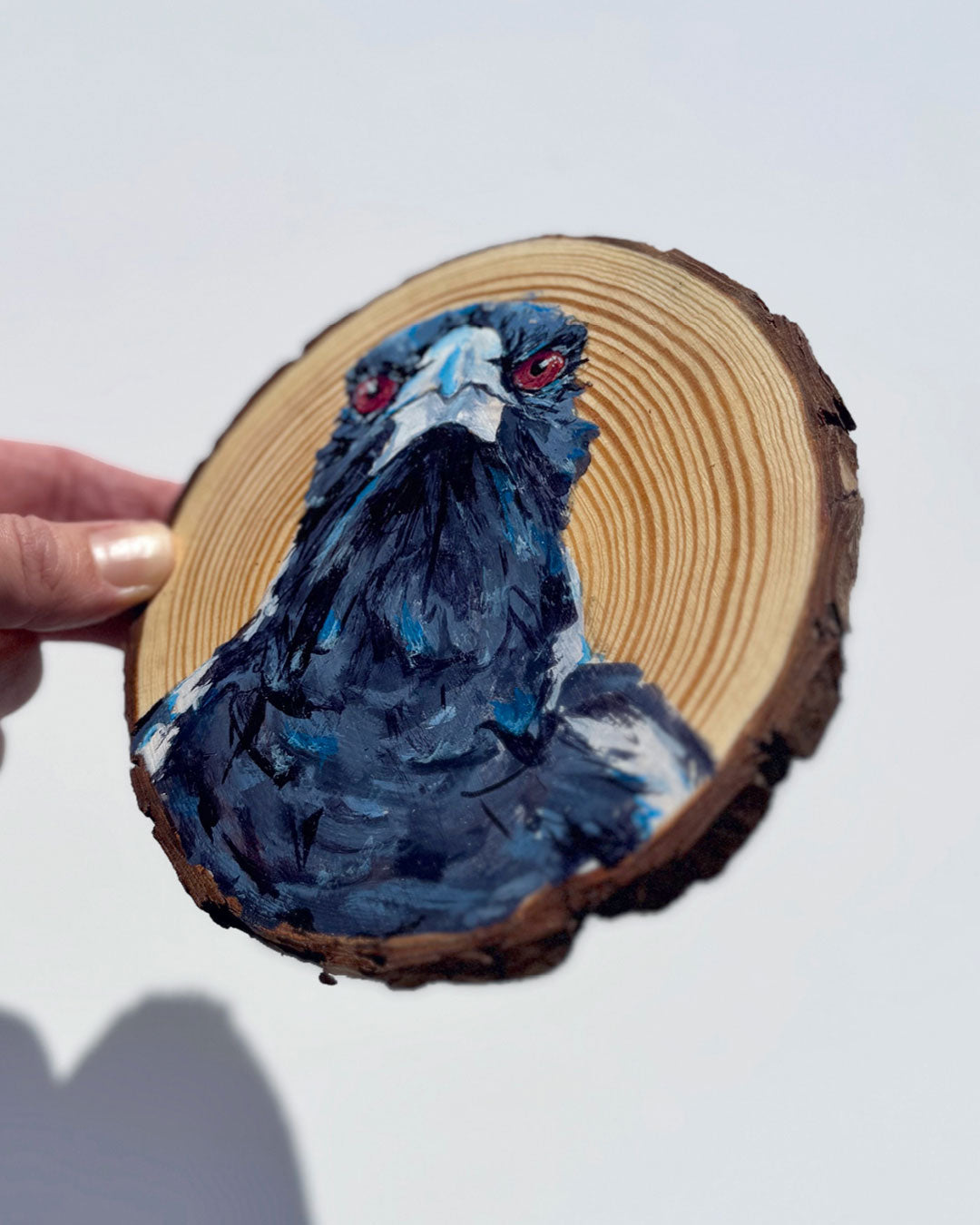 'BOSS' the Australian Magpie Wooden Disc